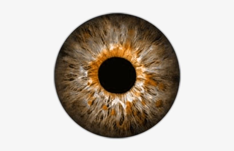 Lente Pinterest Eye Anatomy - Olhos De Vampiro Png, transparent png #160397