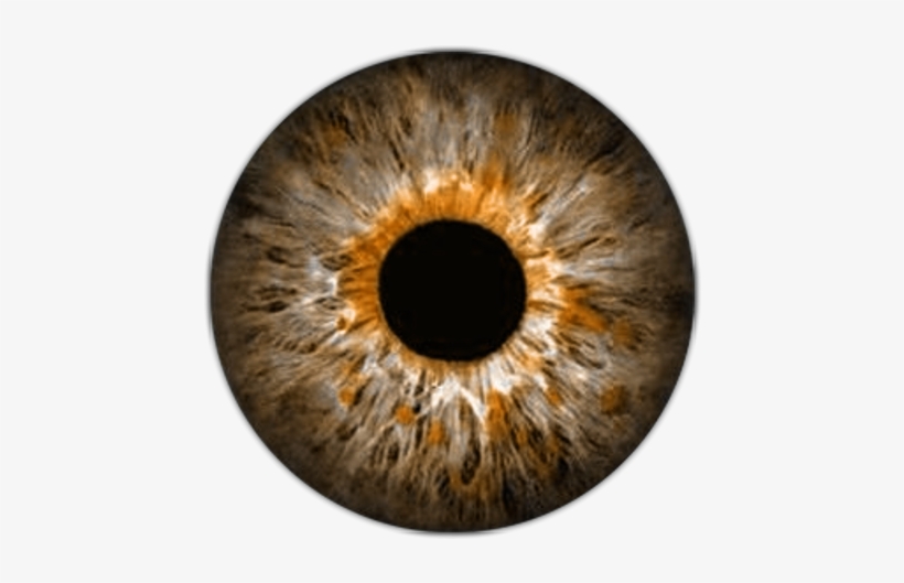 Lente Pinterest Eye Anatomy - Olhos De Vampiro Png, transparent png #160397