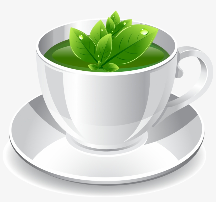 Green Tea Png Photo - Green Tea Cup Png, transparent png #160548