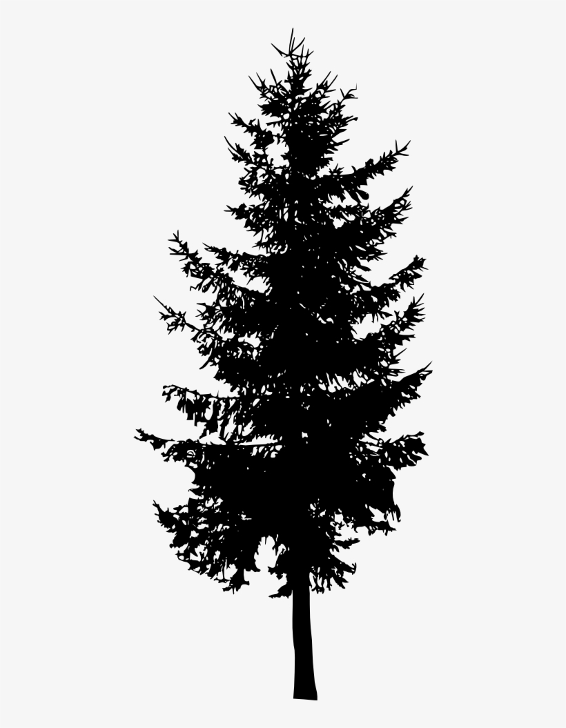 Free Download - Spruce Tree Silhouette Png, transparent png #160588