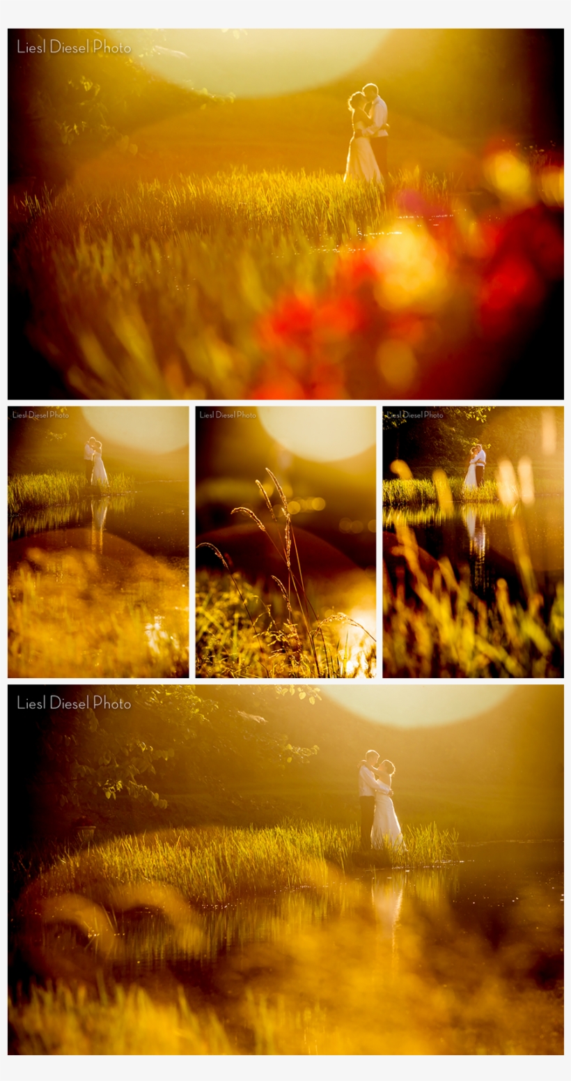 4 Sunset Sun Flare Evening Portrait Photo Bride Groom, transparent png #160771