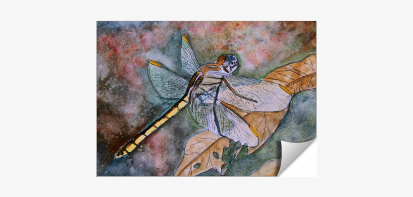 Dragonfly - Artist, transparent png #161076