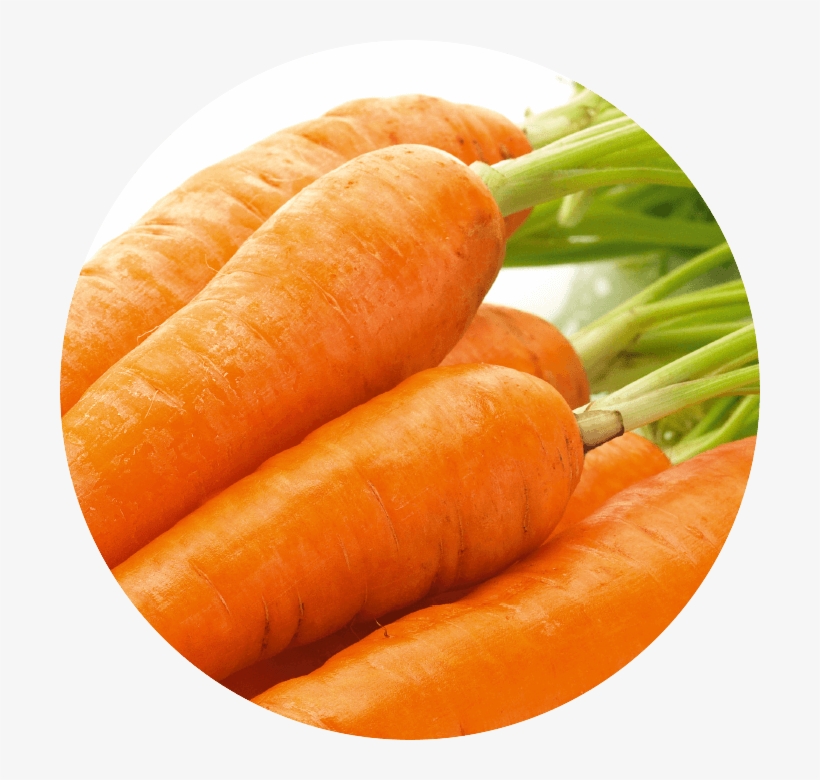 Carrot Extract - Carrot, transparent png #161564
