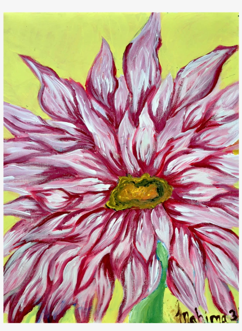 Pink Firework Size, transparent png #161894