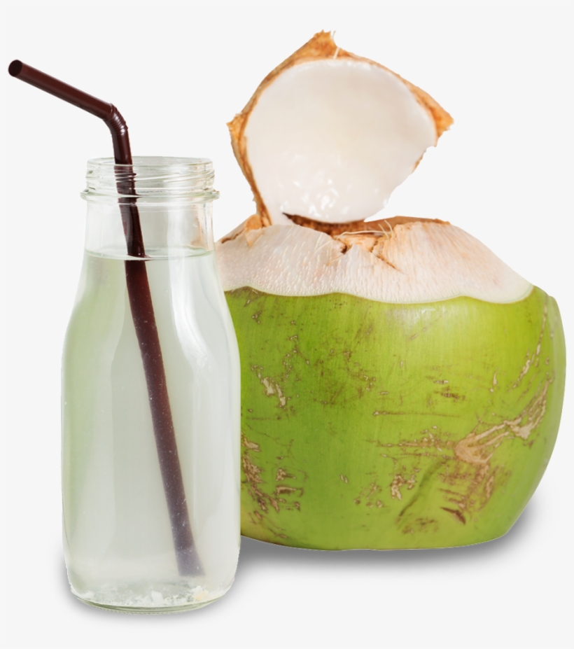Coconut Water - Free Transparent PNG Download - PNGkey