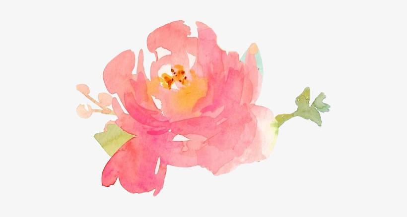 Report Abuse - Watercolor Peony, transparent png #162462