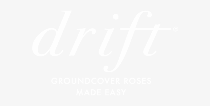 Drift® Groundcover Roses - Crowne Plaza White Logo, transparent png #162605