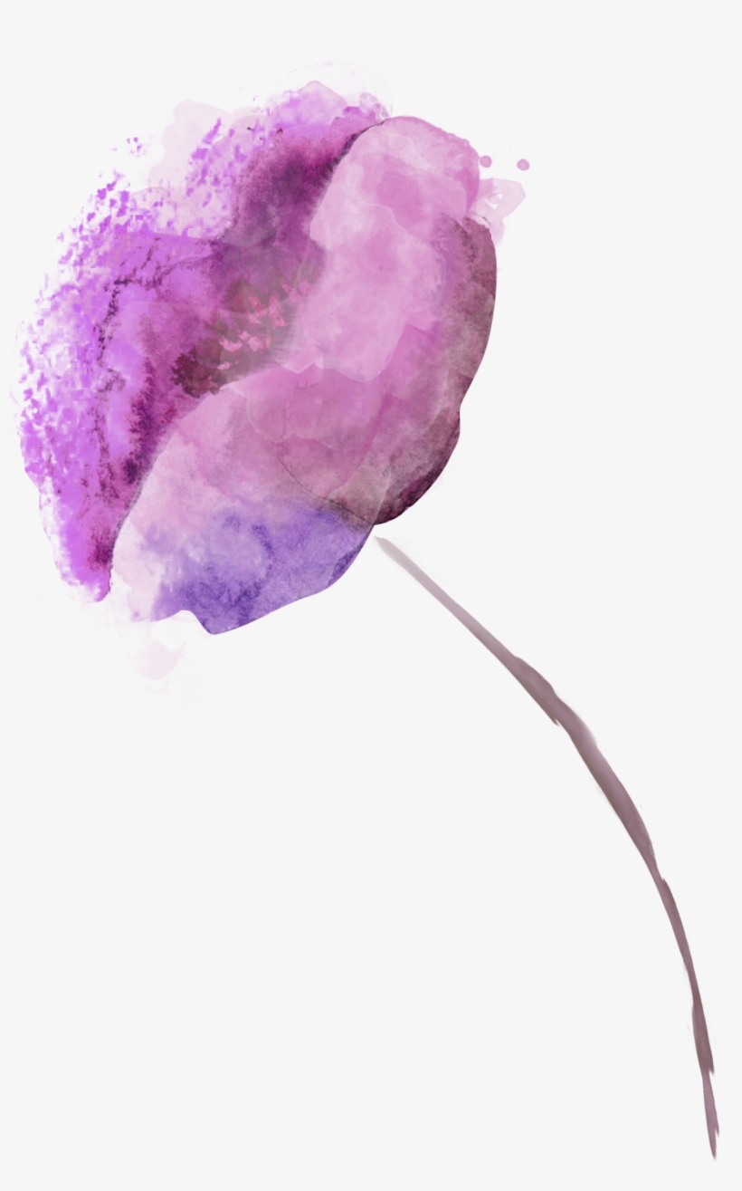 Vegetaux Aquarelle Fleur Coquelicot Violet - Watercolor Paint, transparent png #162664