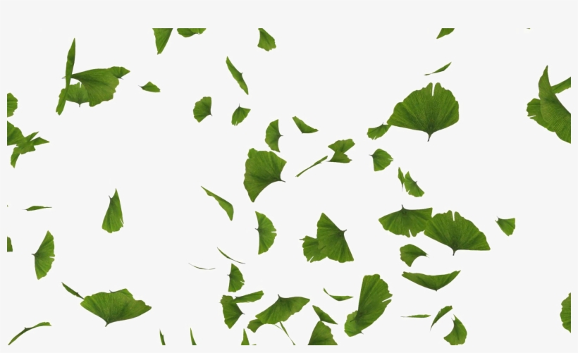 Falling Green Leaves Free Png Image - Green Leaves Png, transparent png #162907