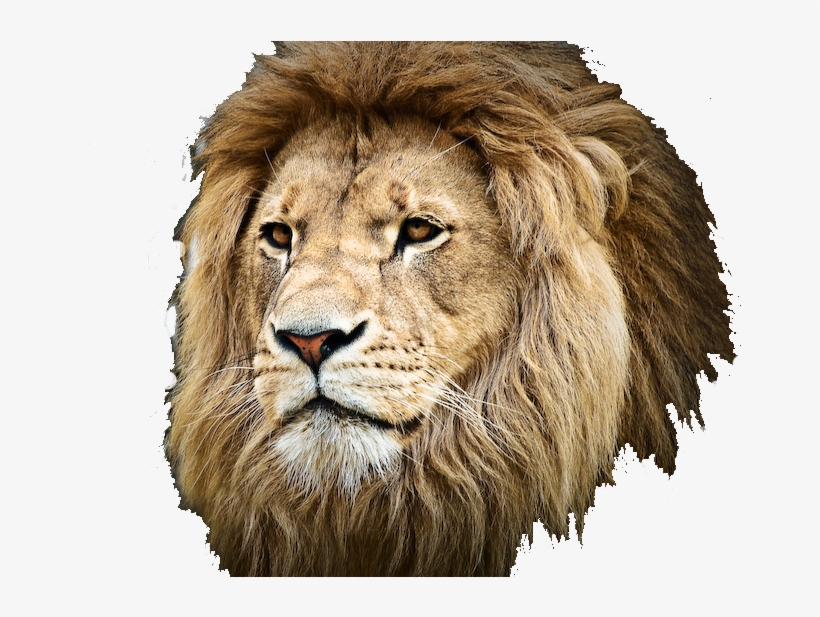 Muster Your Faith And Pray To The Gohonzon, transparent png #163006