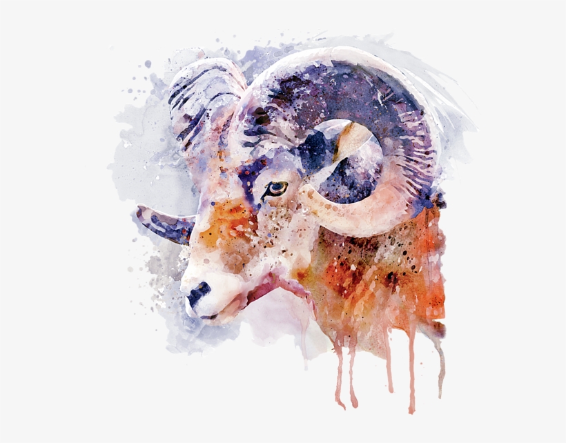 Bleed Area May Not Be Visible - Big Horned Sheep Watercolor, transparent png #163205
