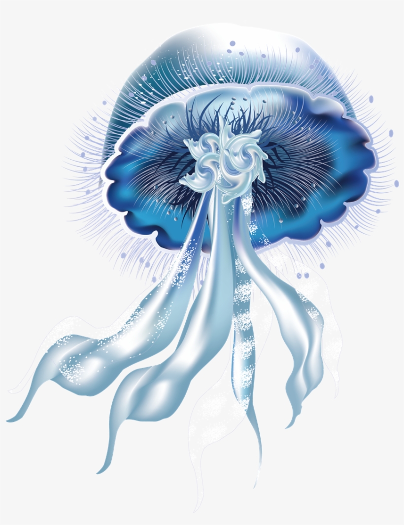 Jellyfish Png Picture - Jellyfish, transparent png #163272
