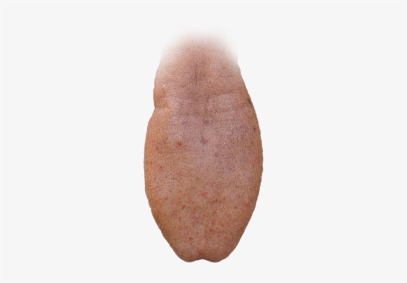 Download - Sweet Potato, transparent png #163316