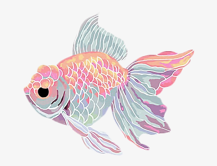 Goldfish Clipart Kawaii - Aesthetic Fish Png, transparent png #163652