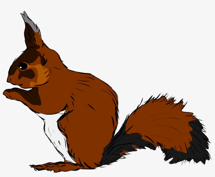 How To Set Use Squirrel Clipart, transparent png #163655