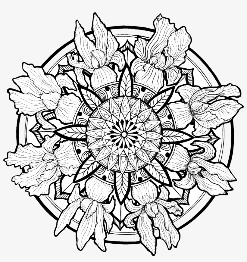 Line Illustrations, Mandalas, Nature - Line Work Mandala, transparent png #164021