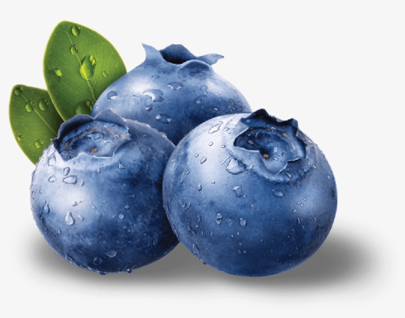 Blueberries Png Images Free Download - Blueberries Png, transparent png #164170