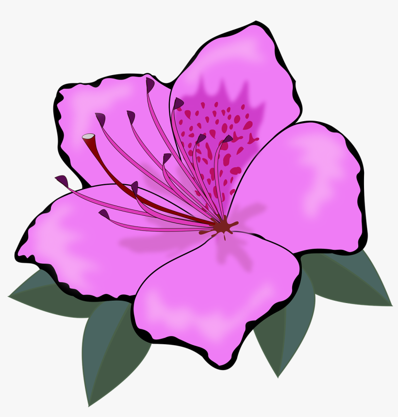 Cut Flowers Rose Orange Blossom Download, transparent png #164290