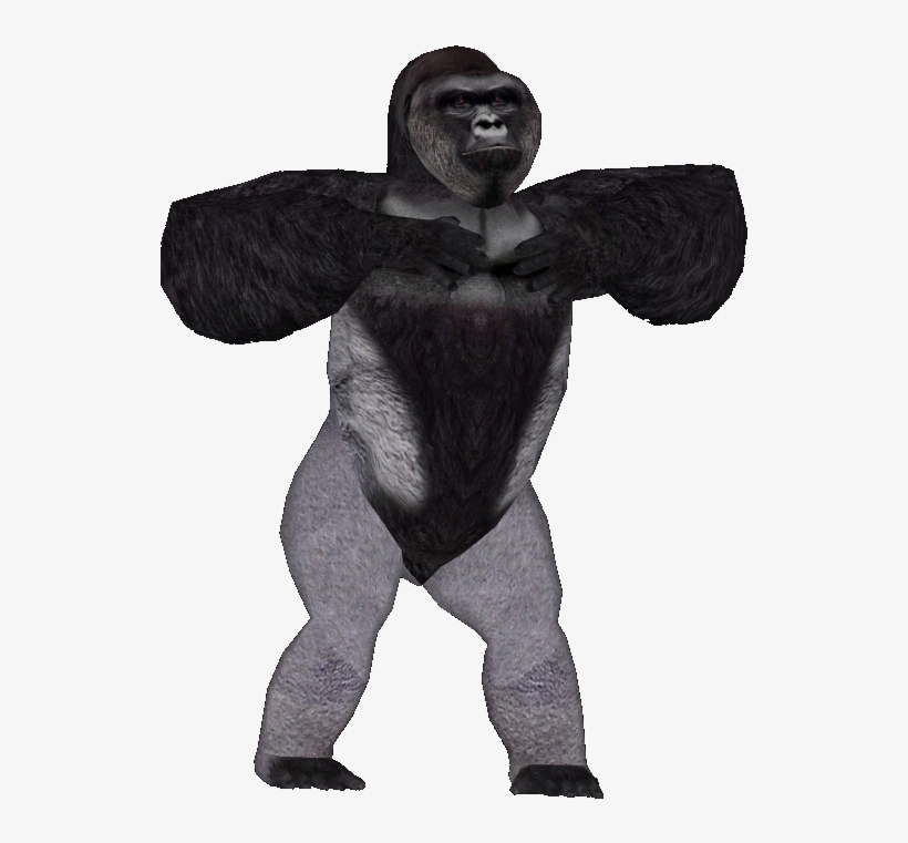 Posted Image - Harambe With No Background, transparent png #164342