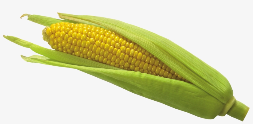 Corn Png Picture Glass Gem Corn, Psp, Clip Art, Art, transparent png #164854