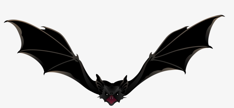 Creepy Bat Png Picture - Bat Png, transparent png #165004