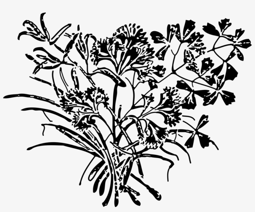 Herb Parsley Royal Fougeres Spice Watercolor Painting - Parsley, transparent png #165342