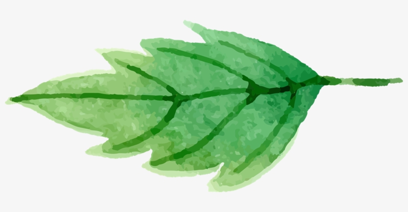 Watercolor Painting, transparent png #165438