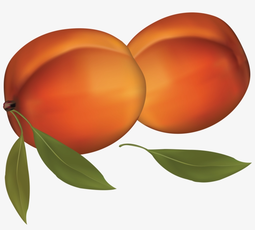 Peach Clipart, transparent png #165982