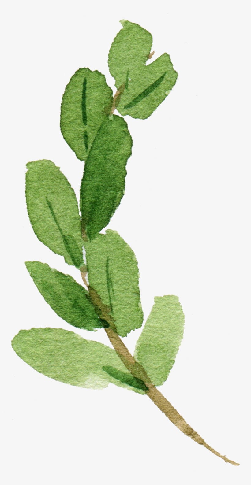 Watercolor Hand Drawn Leaf Png - Posterazzi Bless Our Home Poster Print By Tara Moss, transparent png #166142