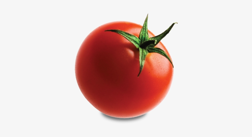 Tomato - Tomato With No Background, transparent png #166375