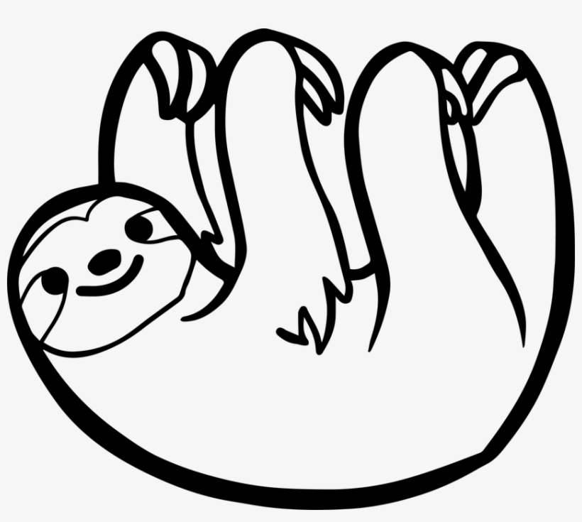 Sloth Free Pictures On Pixabay Cliparts - Sloth Drawing, transparent png #166563