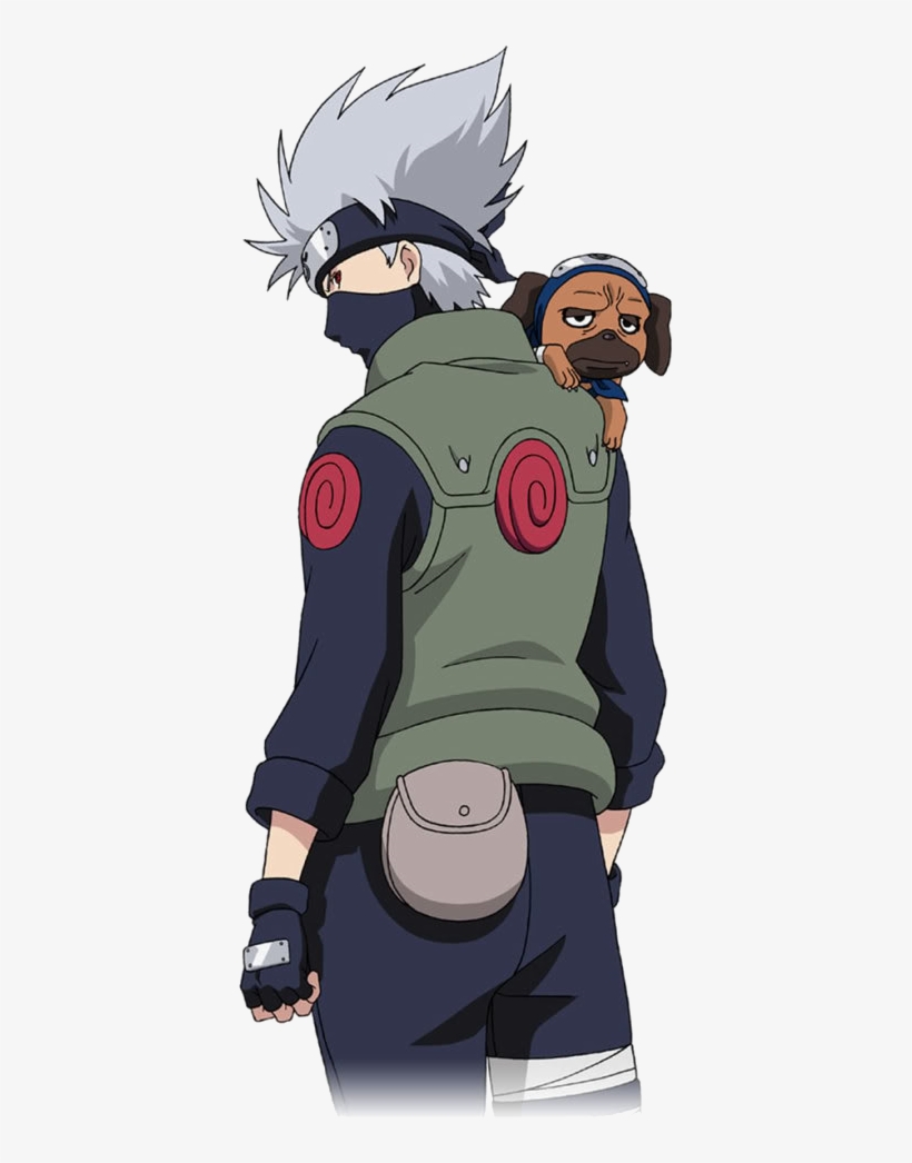 Clash Of Kakashi Strategywiki, The Video Game Walkthrough - Kakashi And Pakkun, transparent png #166586