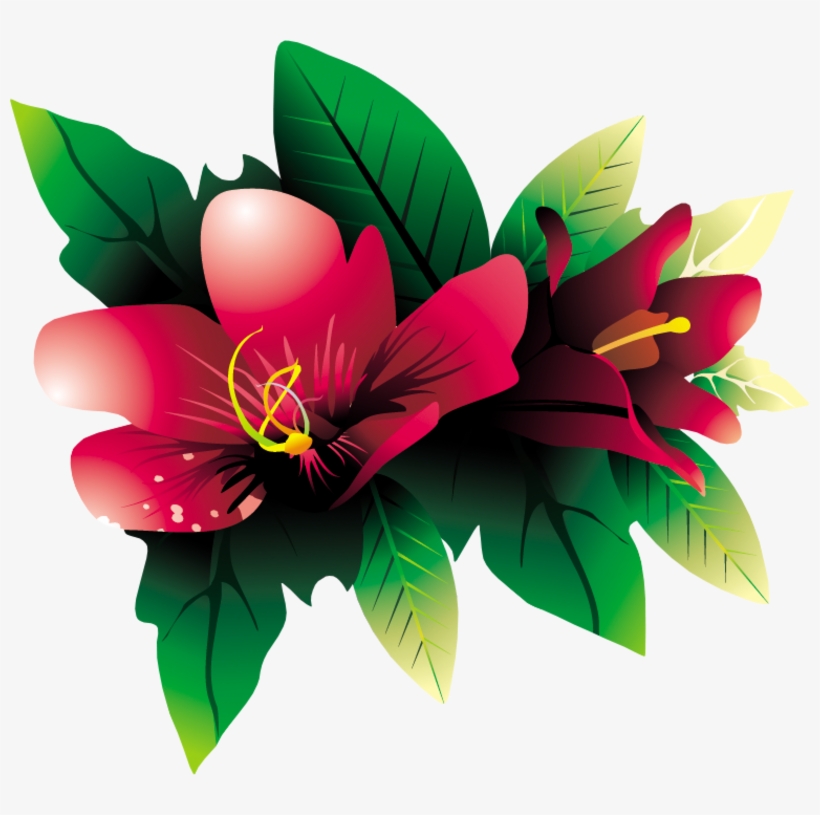 Tropical Flower Hq Png By Briellefantasy On Deviantart - Portable Network Graphics, transparent png #166716