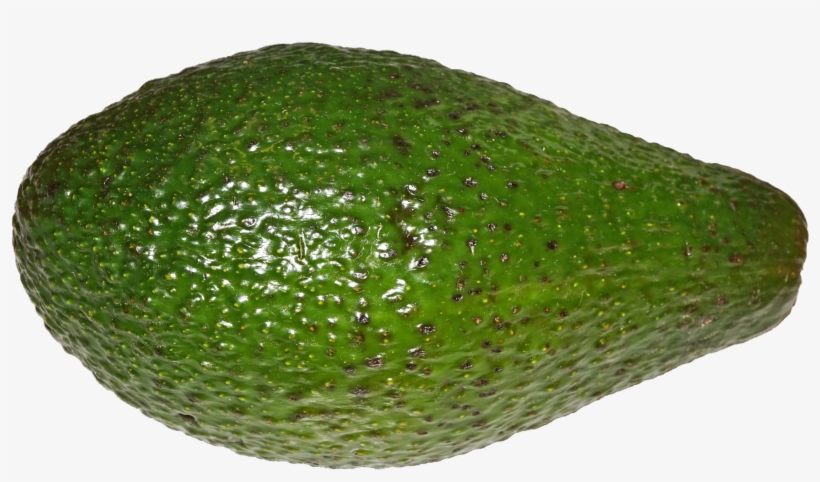 File - Avocado - Cempedak, transparent png #166941