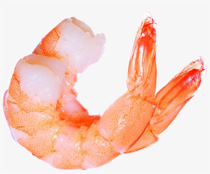 Free Library Seafood Clipart Dancing Shrimp - Shrimp Png, transparent png #167759