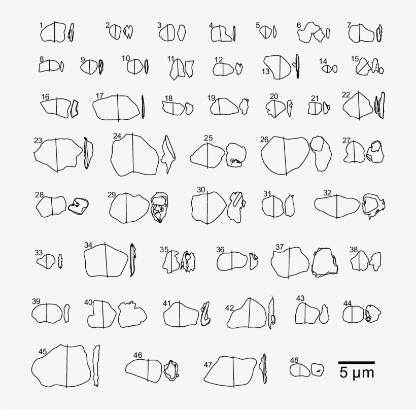 External Shapes Of 48 Dust Particles Investigated In - Particle, transparent png #168417