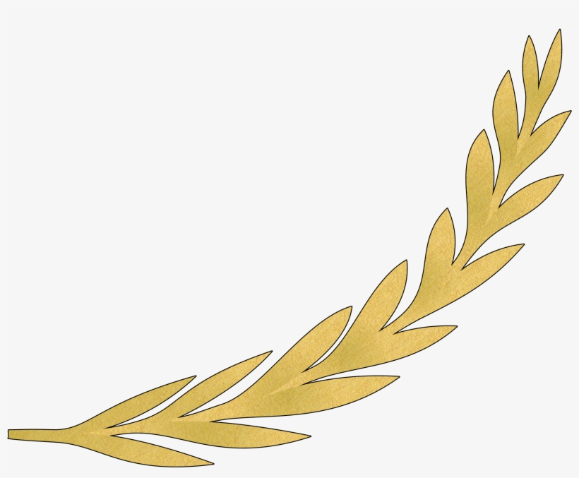 Olive Branch Gold - Gold Olive Branch Png, transparent png #168494