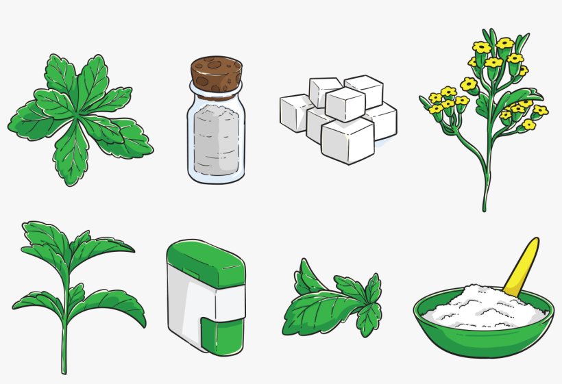 Free Hand Drawn Stevia Vector - Vector Graphics, transparent png #168741