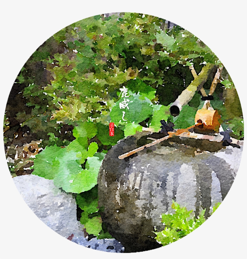 Thank You - Canoe Birch, transparent png #168983