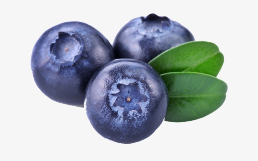 Blueberries Png - Bilberry Png, transparent png #169310