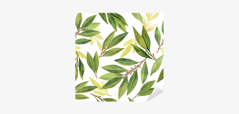 Watercolor Bay Leaf Seamless Pattern Of Flowers And - Flower Png Tumblr Aquarela, transparent png #169425