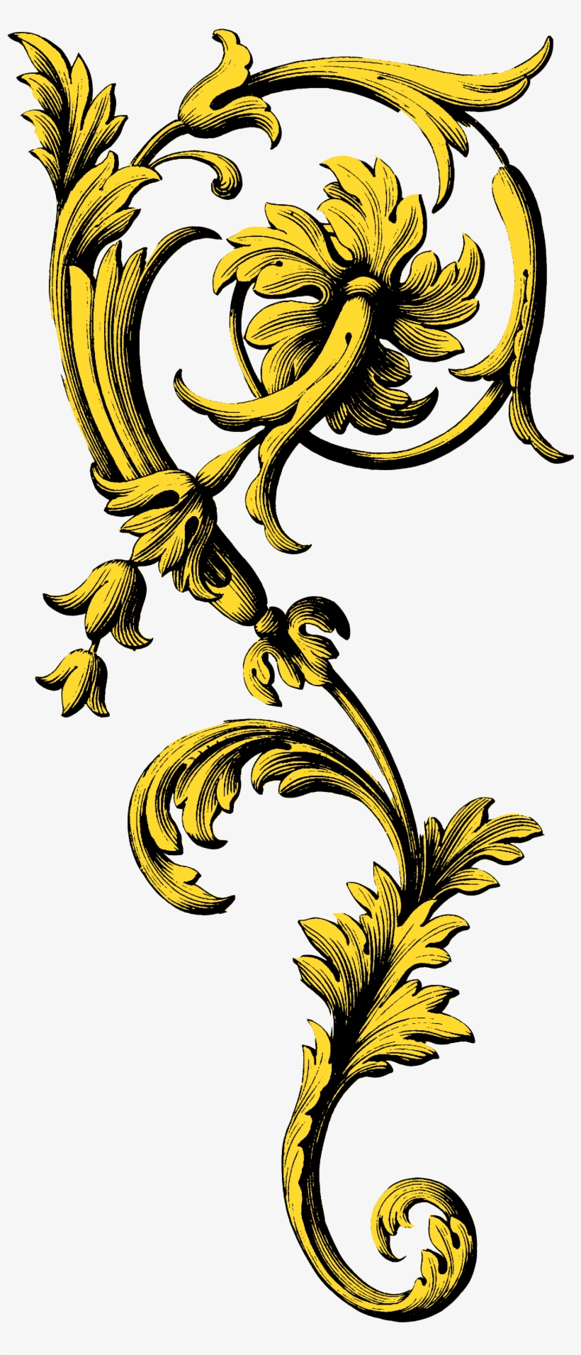 Lily Flourish, transparent png #169503