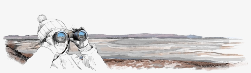 Need To Discover Atacama In Its Multifaceted Glory, - Atacama Desert, transparent png #169691