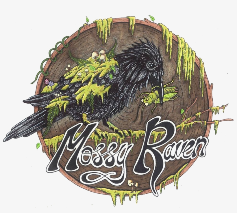 Mossy Raven - Raven, transparent png #169757