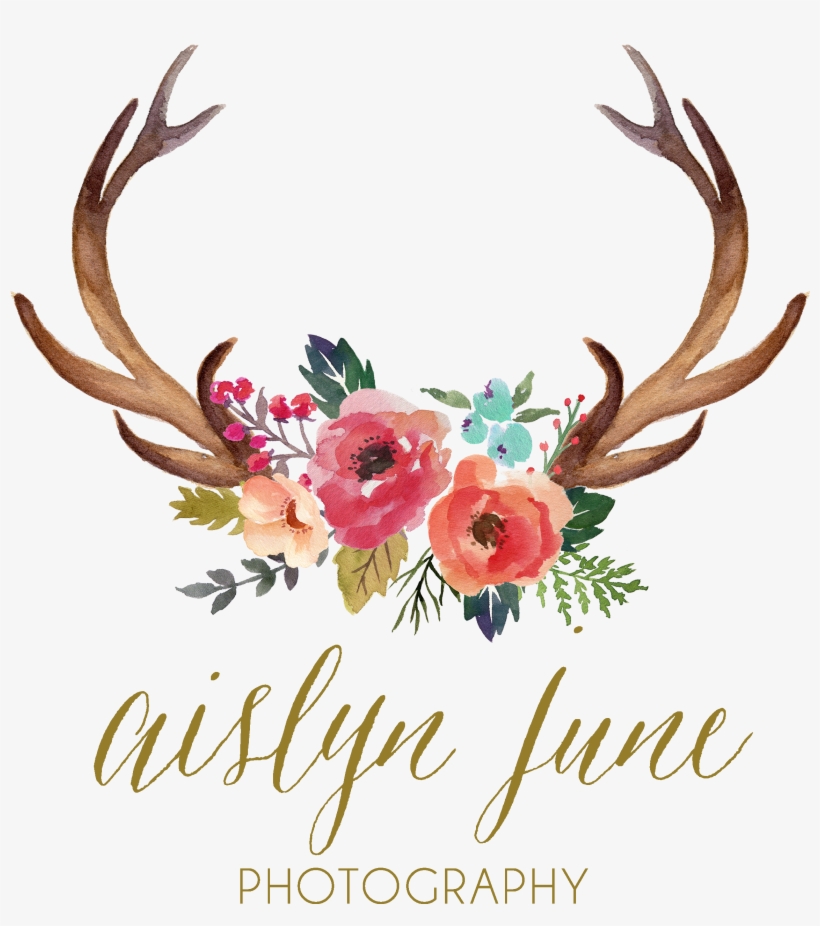 Antler Watercolor Painting Clip - Deer Antlers And Flowers, transparent png #169901