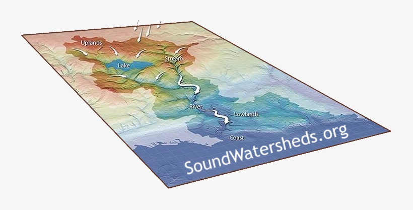 Watershed Logo Cropped - .org, transparent png #169951