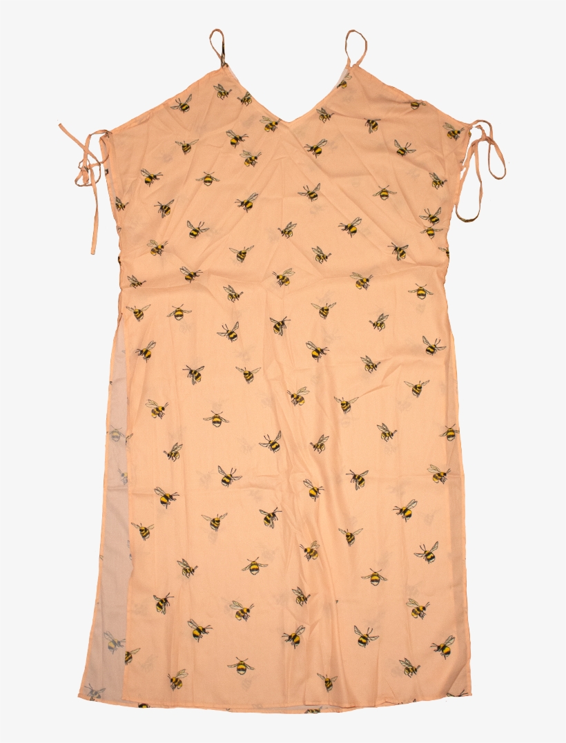 Sheer Bumblebee Dress In Blush - Dress, transparent png #169994