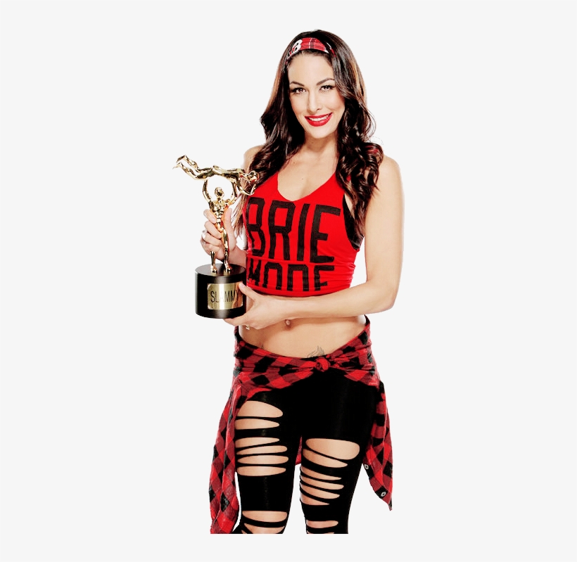 Wwe Brie Mode