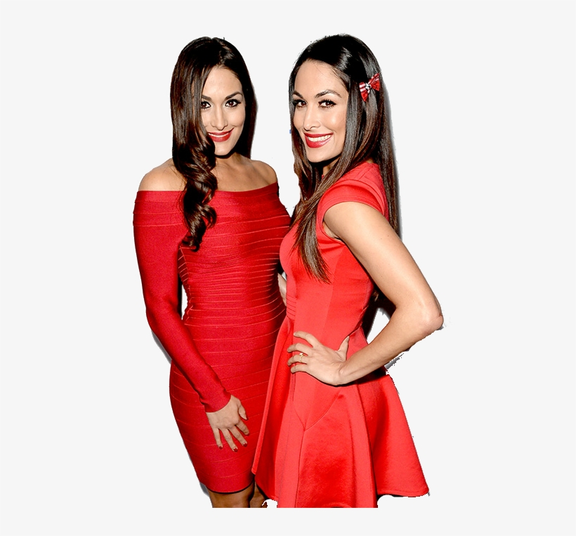 New Png Of The Bella Twins 02 By Undertaker02 - Bella Bella Twins New, transparent png #1601048