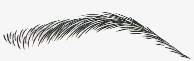 A Beautiful Glow Blog Jpg Library Stock - Microblading Black And White, transparent png #1601160